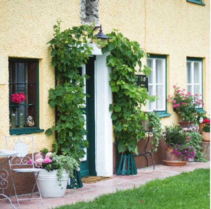 Ferienwohnung Alpenblick Kuchl Exteriér fotografie